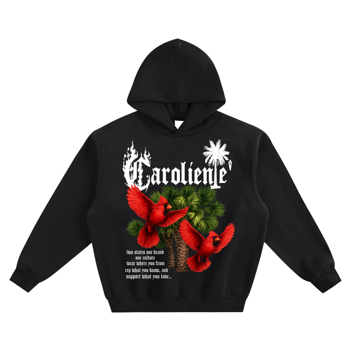 Palmetto Cardinal Creed Fleeced Boxy Hoodie